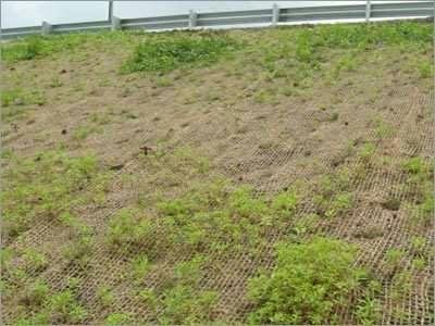 Rip-rap and Stone Pitching